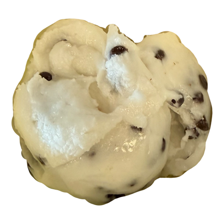 Dairy Free Mint Chocolate Chip