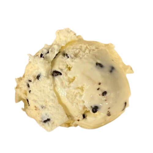 Mint Chocolate Chip Ice Cream